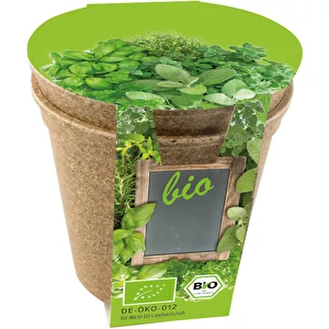 Duo d Herbes Aromatiques Easy