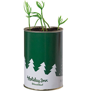 Weihnachtsbaum-Dose , grün, Metall, Kunststoff, Papier, Kokosfaser, Samen, 11,00cm (Höhe)