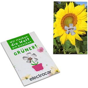 Samen-Karte-Mini Blume - Sonnenblume , Saatgut, Papier, 6,30cm x 9,80cm (Länge x Breite)