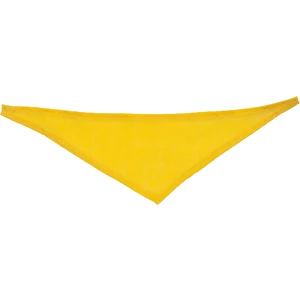 Écharpe triangulaire