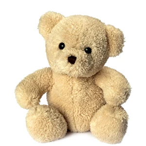Orso Merle