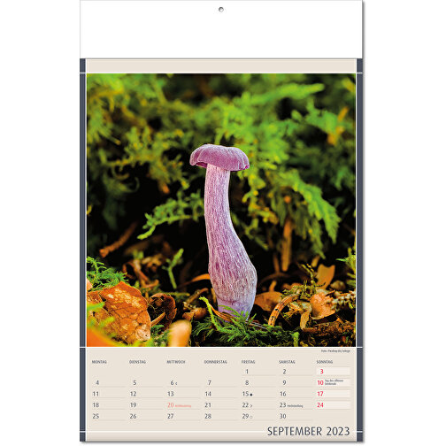 Kalender 'Naturfynd' i formatet 24 x 37,5 cm, med vikta sidor, Bild 10