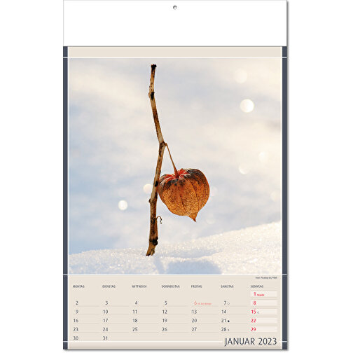 Calendario 'Reperti della natura' nel formato 24 x 37,5 cm, con pagine piegate, Immagine 2
