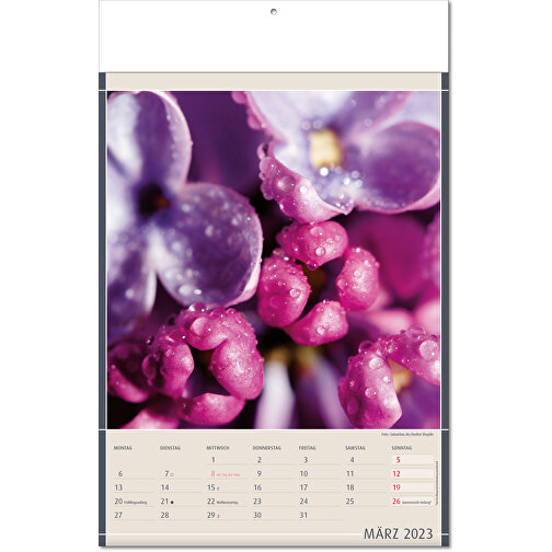 Calendario 'Hallazgos de la Naturaleza' en formato 24 x 37,5 cm, con páginas plegadas, Imagen 4