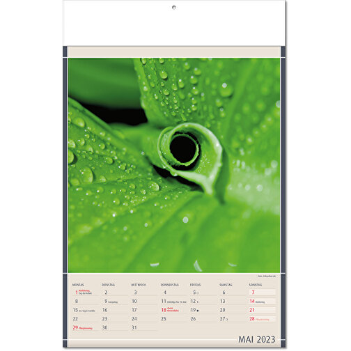 Calendario 'Hallazgos de la Naturaleza' en formato 24 x 37,5 cm, con páginas plegadas, Imagen 6