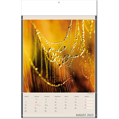 Calendario 'Hallazgos de la Naturaleza' en formato 24 x 37,5 cm, con páginas plegadas, Imagen 9