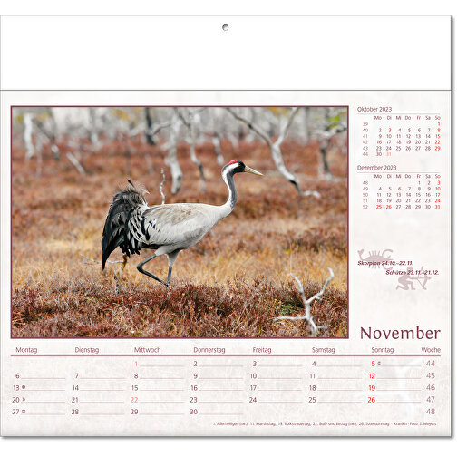 Calendario ilustrado 'Mundo animal, Imagen 12