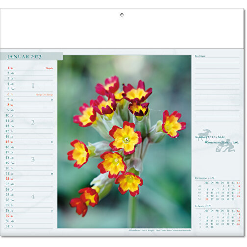 Bildkalender 'Blütenwelt' , Papier, 27,00cm x 30,00cm (Höhe x Breite), Bild 2