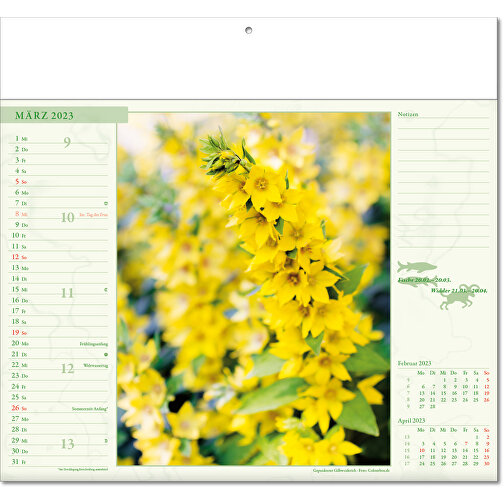 Bildkalender 'Blütenwelt' , Papier, 27,00cm x 30,00cm (Höhe x Breite), Bild 4