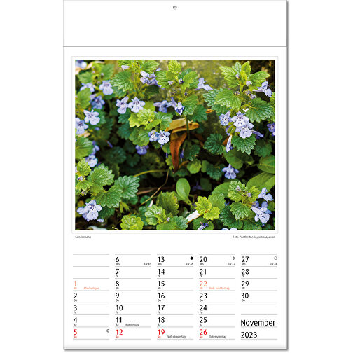 Bildkalender 'Botanica' , Papier, 34,60cm x 24,00cm (Höhe x Breite), Bild 12
