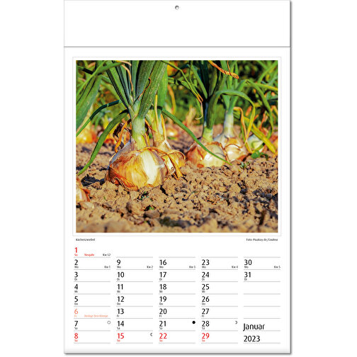 Calendario de imágenes 'Botanica, Imagen 2
