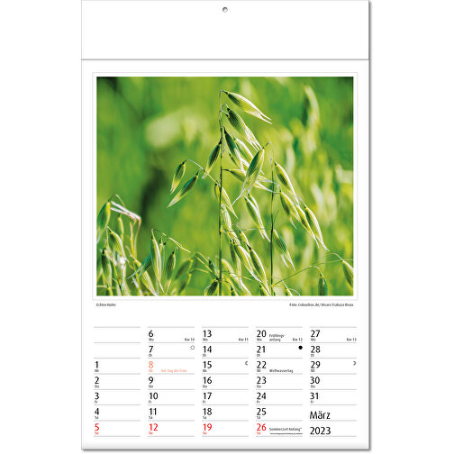 Calendario de imágenes 'Botanica, Imagen 4