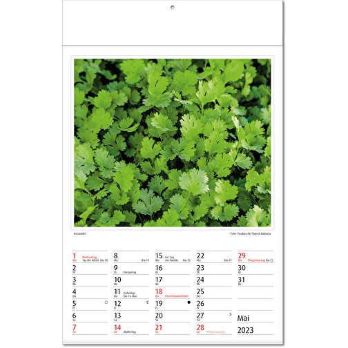 Kalendarz obrazkowy 'Botanica, Obraz 6
