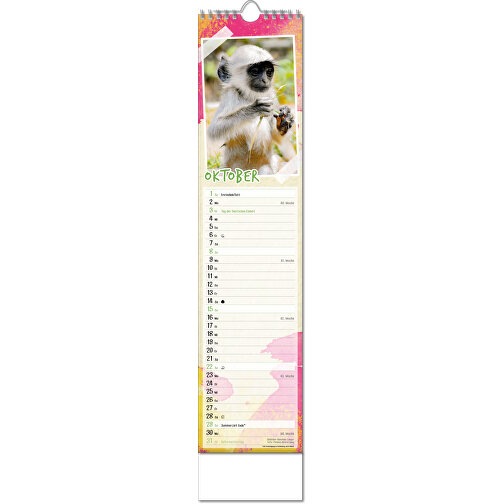 Bildkalender 'Tierbabys' , Papier, 49,00cm x 11,00cm (Höhe x Breite), Bild 11