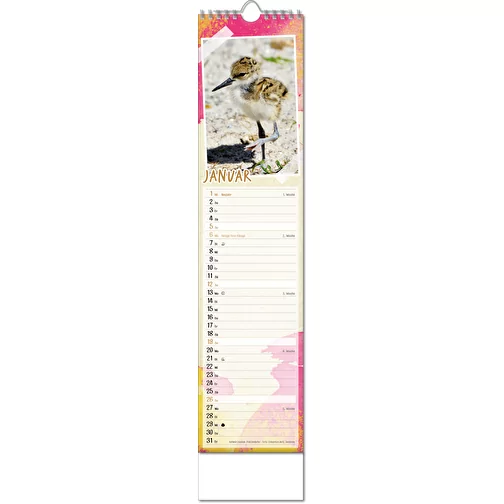 Calendrier photos 'Bébés animaux', Image 2