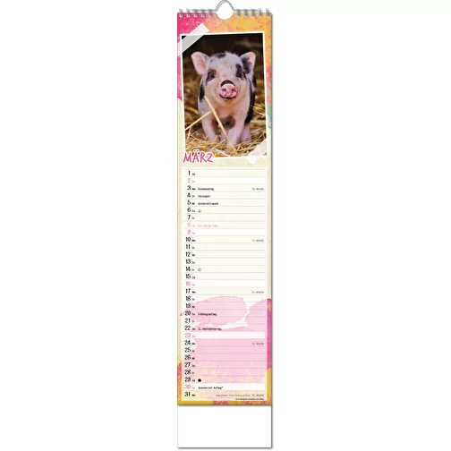 Calendrier photos 'Bébés animaux', Image 4