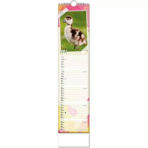 Calendrier photos 'Bébés animaux', Image 8