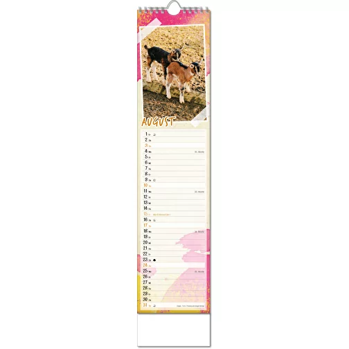 Calendrier photos 'Bébés animaux', Image 9