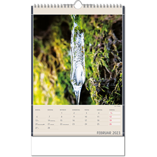 Kalender 'Findings of Nature' i formatet 24 x 38,5 cm, med Wire-O indbinding, Billede 3