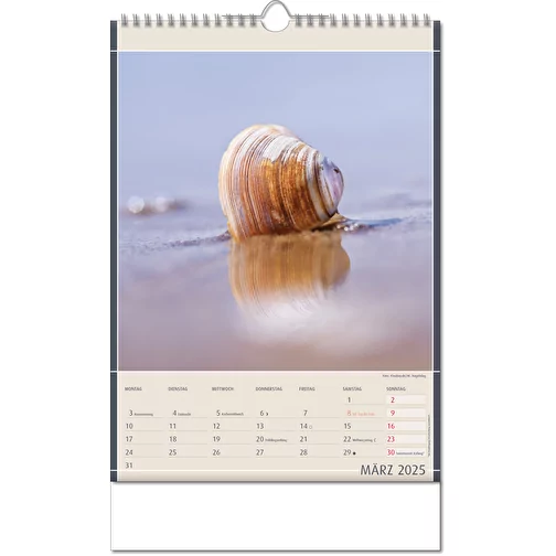 Calendrier 'Découvertes de la nature' au format 24 x 38,5 cm, avec reliure Wire-O, Image 4