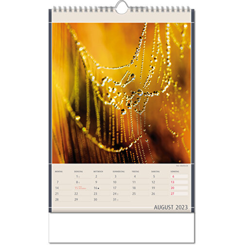 Kalender 'Naturfynd' i formatet 24 x 38,5 cm, med Wire-O-bindning, Bild 9