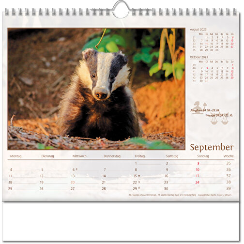 Billedkalender 'Dyrenes verden', Billede 10