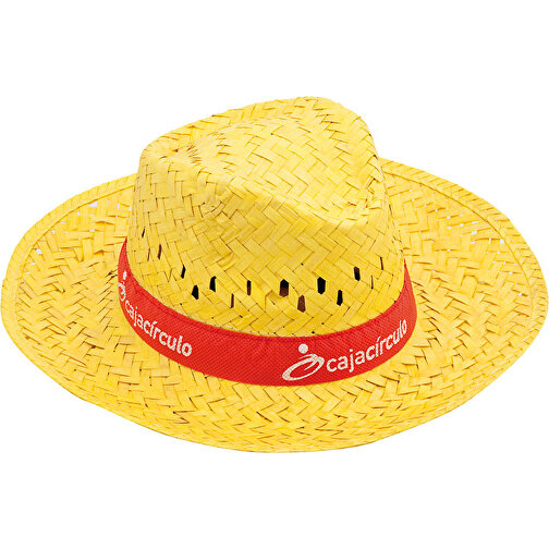 SPLASH-hatt, Bilde 1