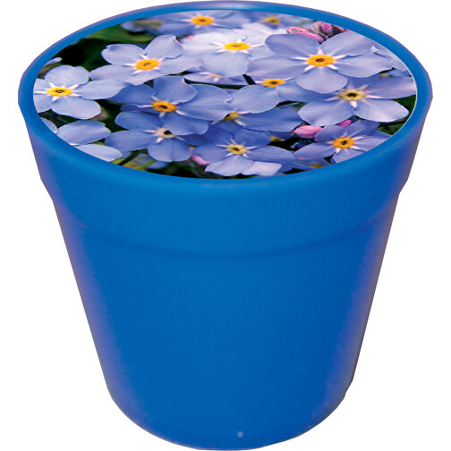 Olla de negocios Forget-Me-Not, Imagen 1