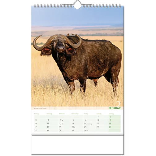 Calendrier 'Vue sur le royaume des animaux' au format 24 x 38,5 cm, avec reliure Wire-O, Image 3