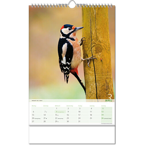 Kalender 'Blick Ins Tierreich' , Papier, 34,60cm x 24,00cm (Höhe x Breite), Bild 4