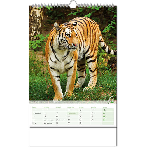 Calendario 'Vista sul regno animale' nel formato 24 x 38,5 cm, con rilegatura Wire-O, Immagine 7