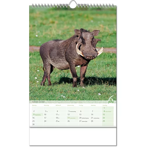 Calendrier 'Vue sur le royaume des animaux' au format 24 x 38,5 cm, avec reliure Wire-O, Image 7