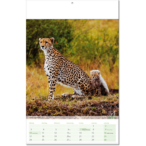 Calendario 'Vista sul regno animale' nel formato 24 x 37,5 cm, con copertina piegata, Immagine 5