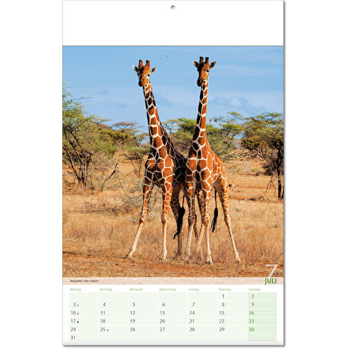 Calendario 'Vista sul regno animale' nel formato 24 x 37,5 cm, con copertina piegata, Immagine 8