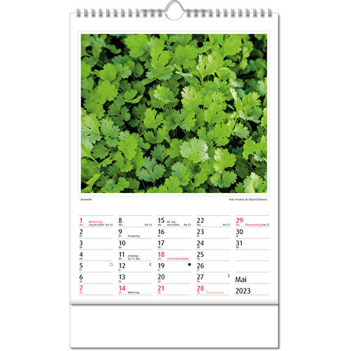 Bildkalender 'Botanica' , Papier, 34,60cm x 24,00cm (Höhe x Breite), Bild 6