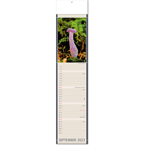 Kalender 'Naturfynd' i formatet 11 x 50 cm, med veck, Bild 10