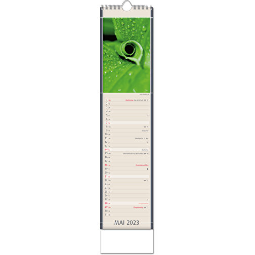Kalender 'Fundstücke Der Natur' , Papier, 49,00cm x 11,00cm (Höhe x Breite), Bild 6