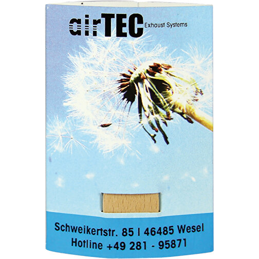 Pflanz-Stick Mit Samen - Sommerblumenmischung, 1 Seite Gelasert , Holz, Papier, Wachs, Saatgut, 5,50cm x 8,00cm (Länge x Breite), Bild 3