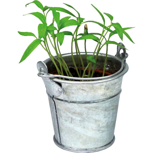 Pflanzeimerchen Mit Samen - Sonnenblume , individuell, Zinkblech, Saatgut, Papier, Erde, 5,50cm (Höhe), Bild 5