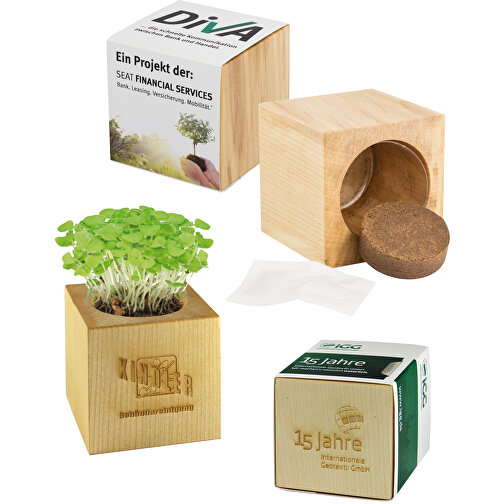 Pot cube bois maxi avec graines - Trèfle persan, 1 sites gravés au laser, Image 5