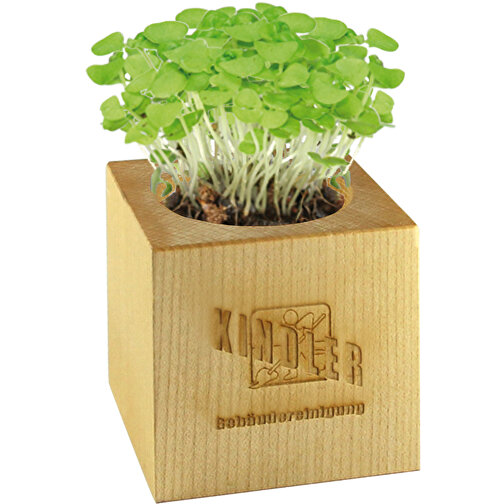 Pot cube bois maxi avec graines - Epicéa, 1 sites gravés au laser, Image 4
