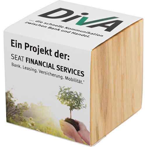 Plantering Wood Maxi - Sommarblomma, Bild 1