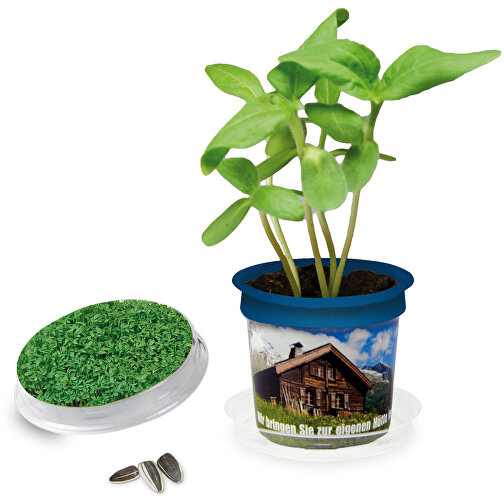 Pot Florero avec graines - bleu - Cresson de jardin, Image 1