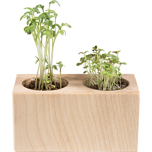 Pot bois 2 compartiments avec graines - Basilic, Image 1