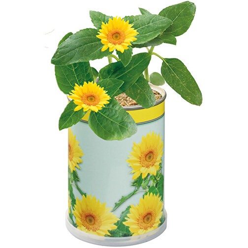 Blumendose Sonne , gelb, Metall, Granulat, Samen, Papier, Kunststoff, 9,00cm (Höhe), Bild 1