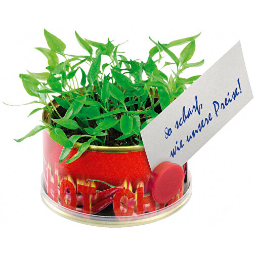 Minigarten Hot Mit Magnet , rot, Metall, Granulat, Samen, Papier, Kunststoff, 3,80cm (Höhe), Bild 1