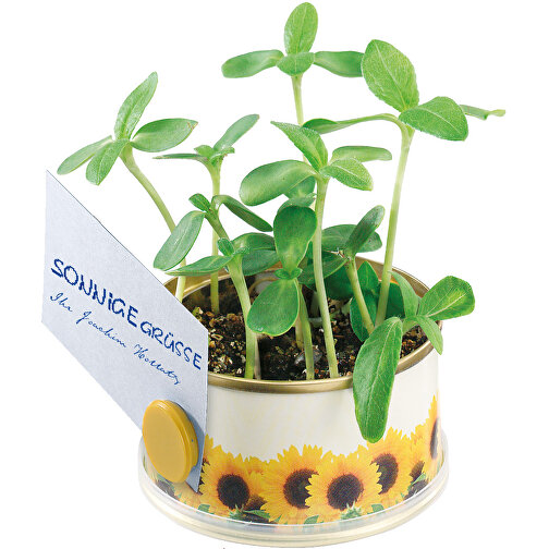 Minigarten Sonne Mit Magnet , gelb, Metall, Granulat, Samen, Papier, Kunststoff, 3,80cm (Höhe), Bild 1