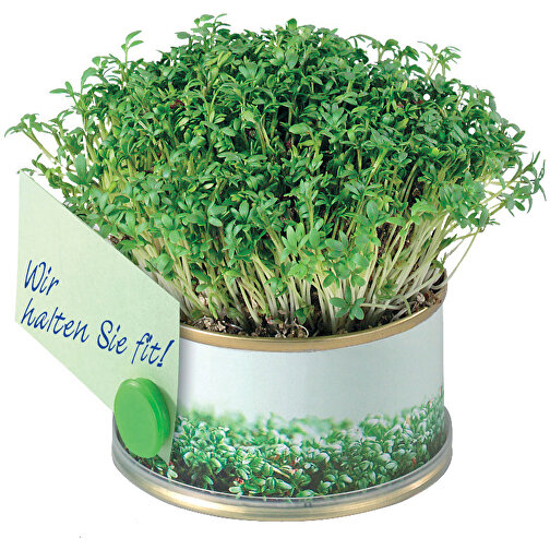 Minigarten Kräuter Mit Magnet , grün, Metall, Granulat, Samen, Papier, Kunststoff, 3,80cm (Höhe), Bild 1