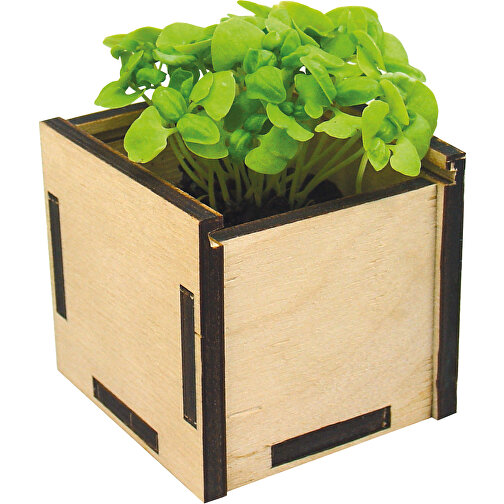 Caja de plantación Verde, Imagen 1