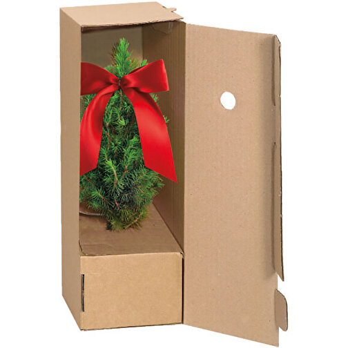 Custodia per scatola singola di spedizione piccoli alberi di Natale, Immagine 2